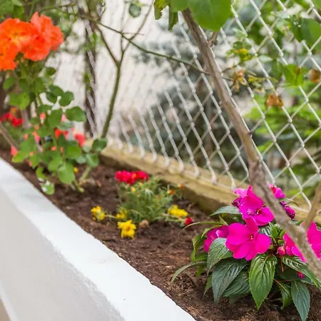 Leon-sara With Shaded Patio And Garden View 斯普利特